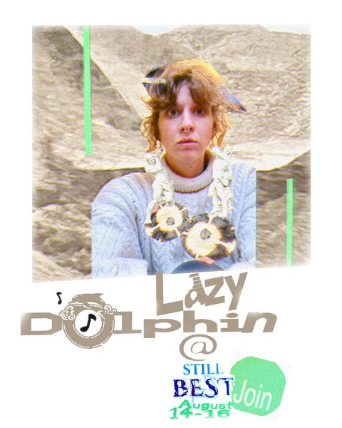LAZYDOLPHIN